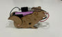 KiddyPi Frog Bot DIY Robotics Kit | Build Your First Moving Robot