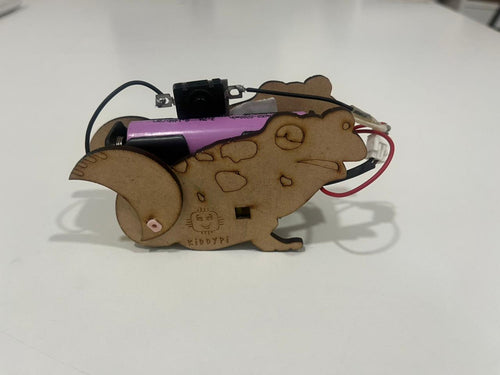 KiddyPi Frog Bot DIY Robotics Kit | Build Your First Moving Robot