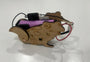 KiddyPi Frog Bot DIY Robotics Kit | Build Your First Moving Robot