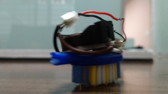 Bristle Bot Kit